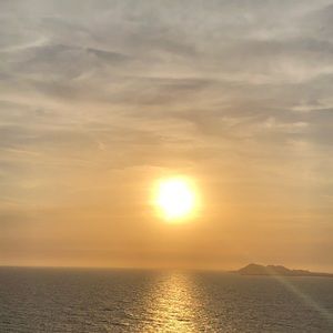 Meet your Posher, Betsy